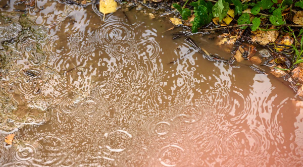 Four Things You Need to Know About Drainage After the Rain